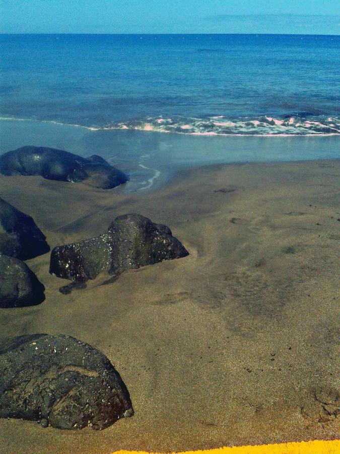 Apartamento A 1 Minuto De La Playa De Sardina Las Palmas de Gran Canaria Kültér fotó